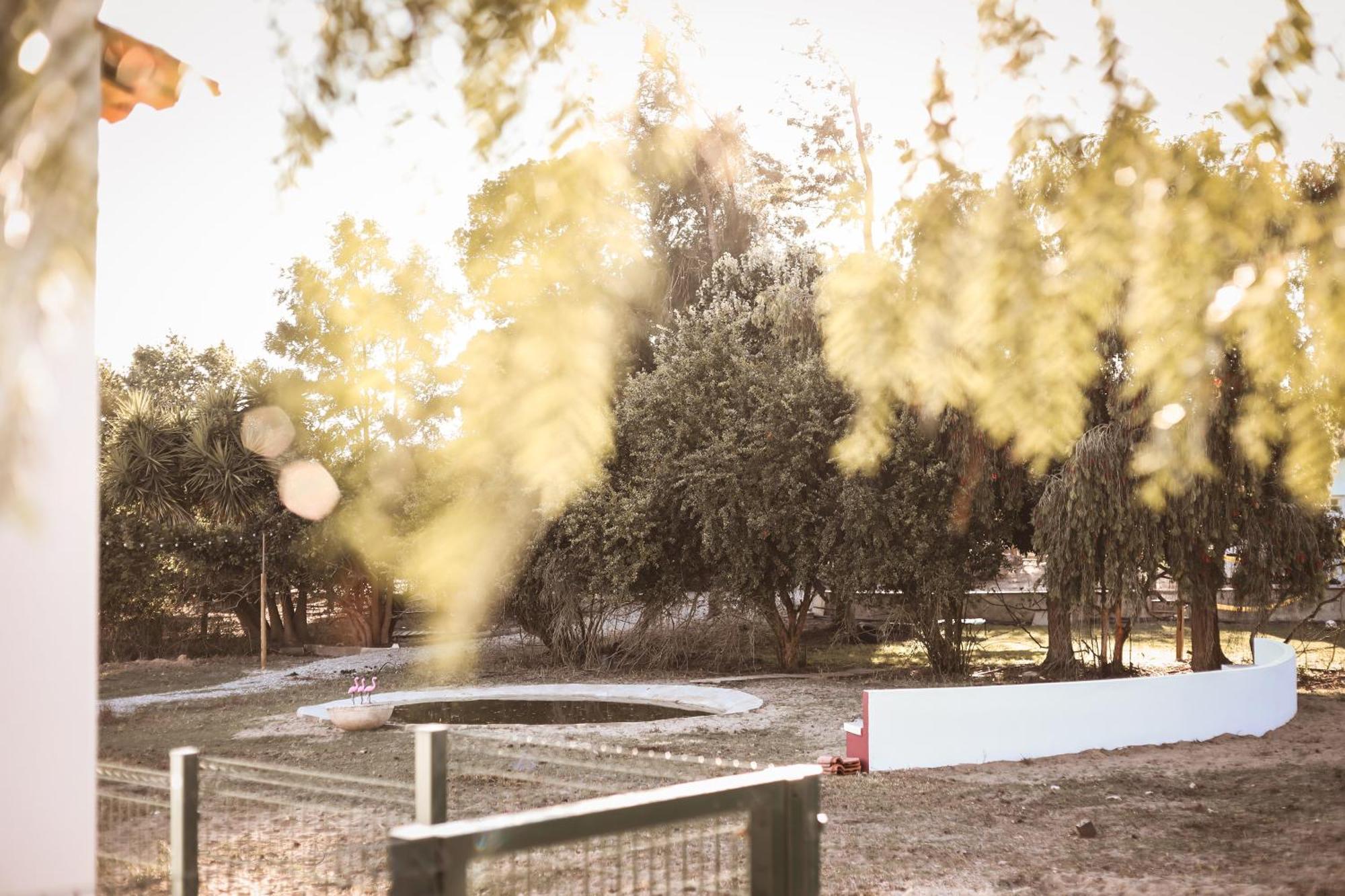 Quinta Das Cacadoras - Animal Lovers Only Palmela Dış mekan fotoğraf