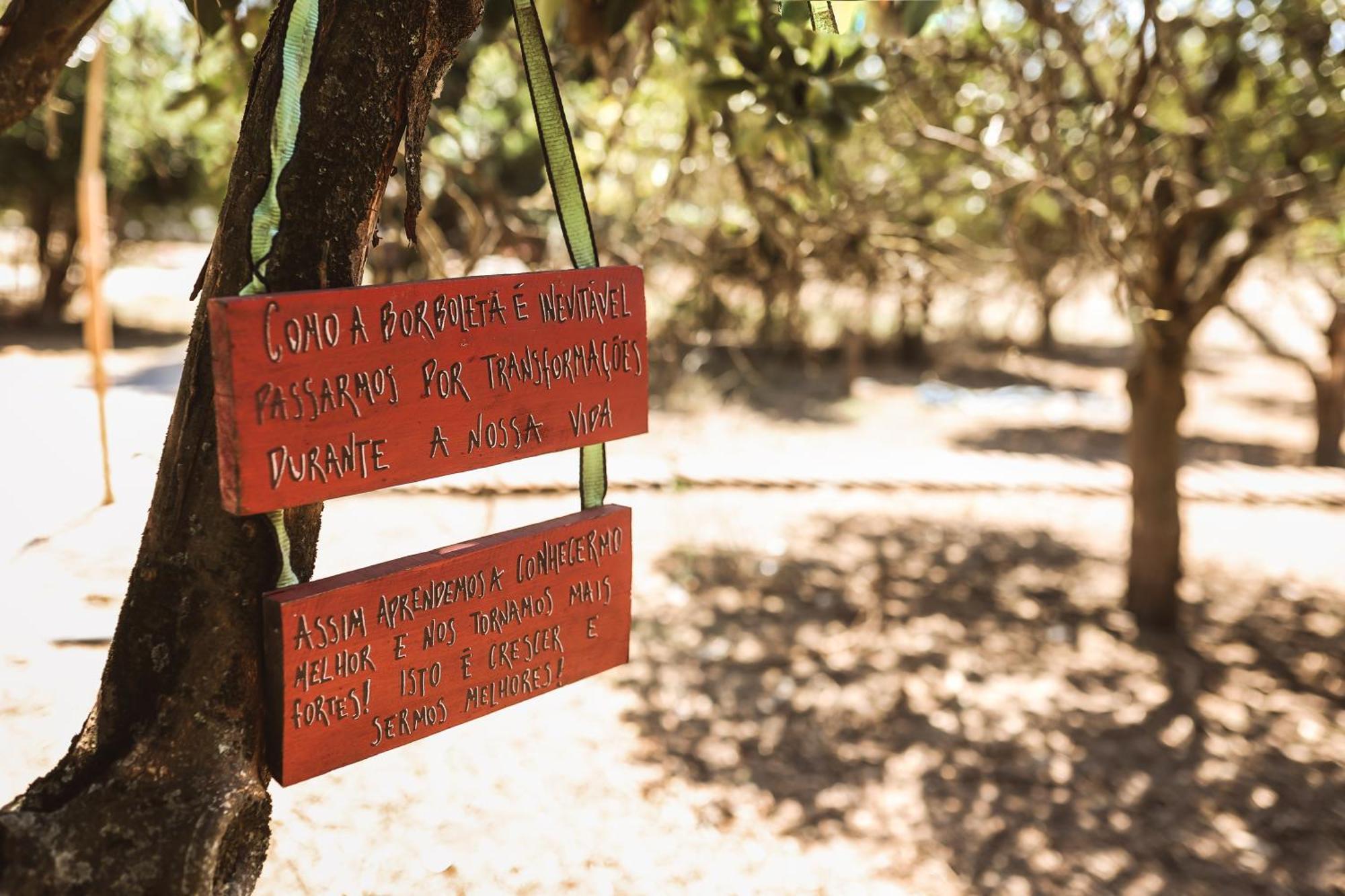 Quinta Das Cacadoras - Animal Lovers Only Palmela Dış mekan fotoğraf